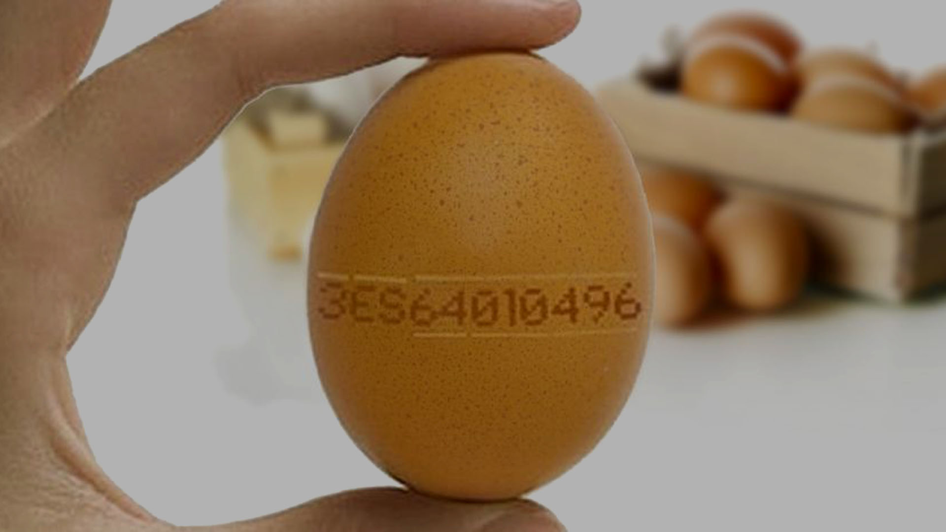 Numeración huevos